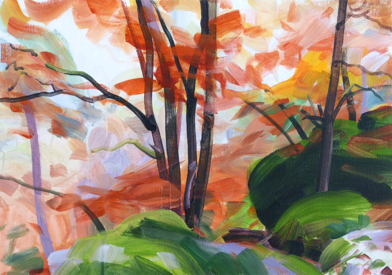 Forêt 34 von Olivier Morel