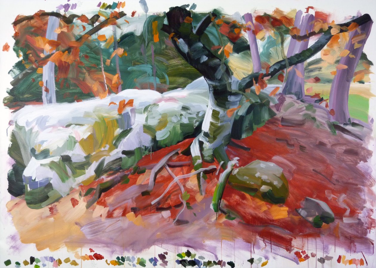 Forêt 36 von Olivier Morel