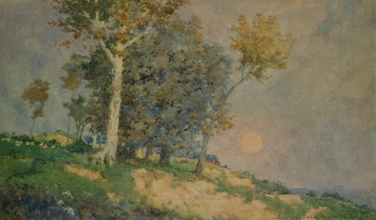 Ein Sommer auf den Feldern von Oswald Garside