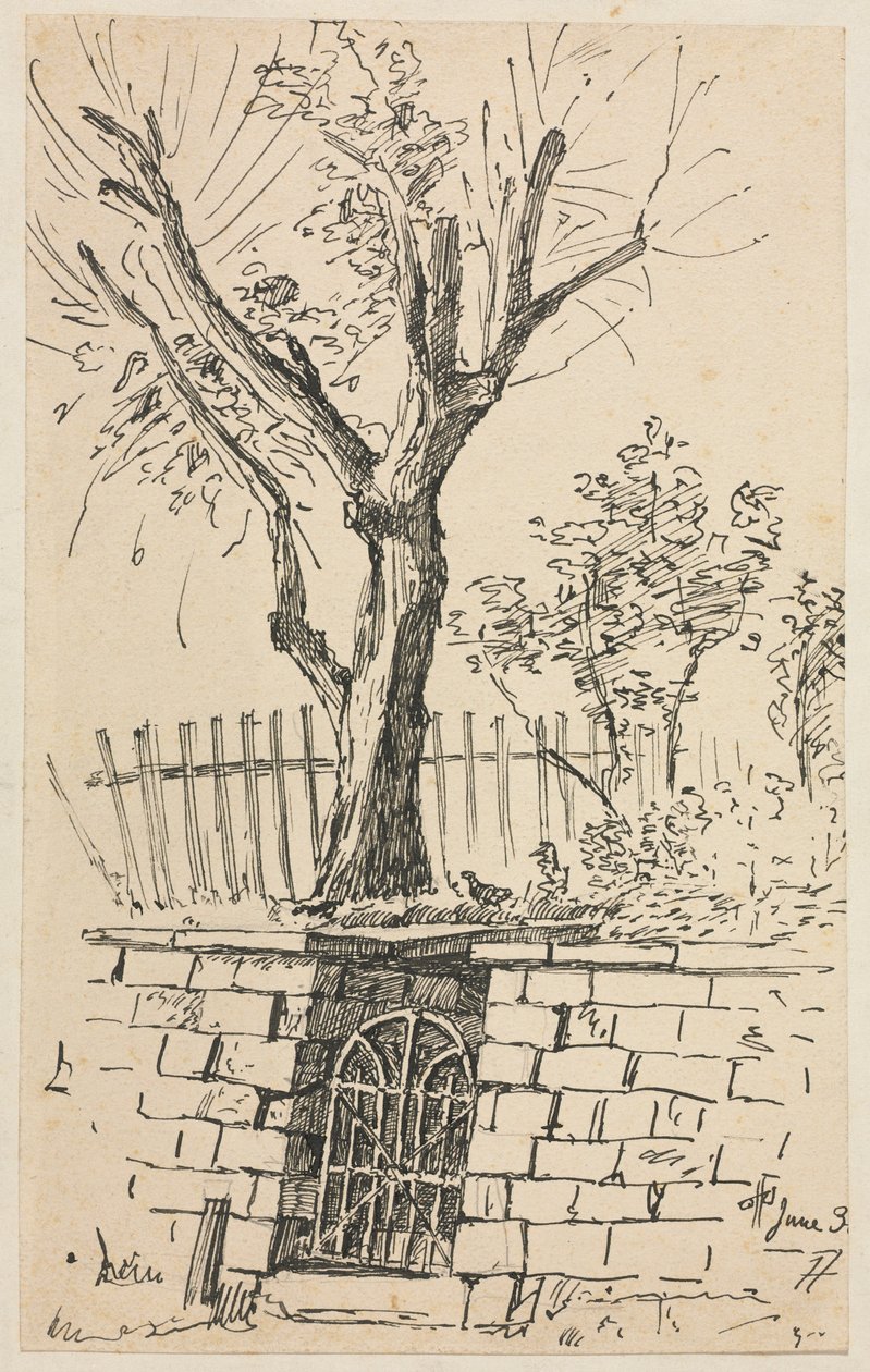Baum auf einer Steinmauer, Cleveland von Otto H. Bacher