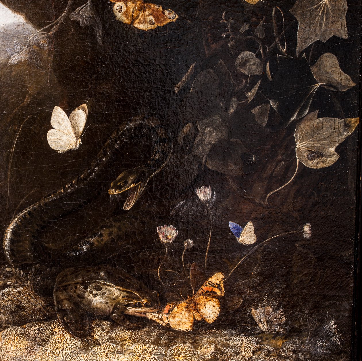 Schlangen, Kröten und Schmetterlinge von Otto Marseus van Schrieck