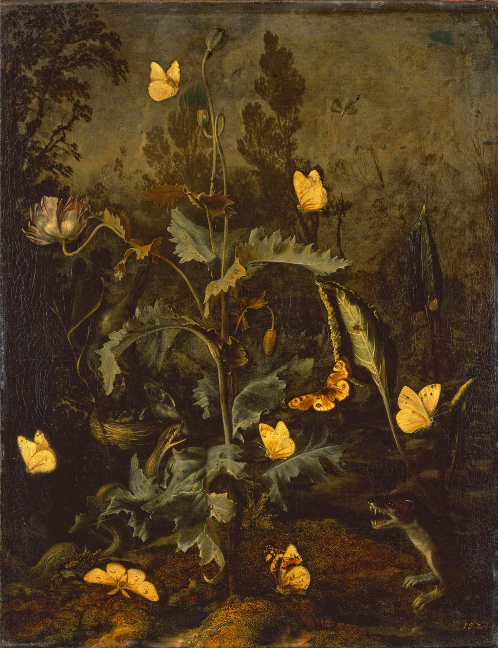 Die Schlange am Vogelnest von Otto Marseus  van Schrieck
