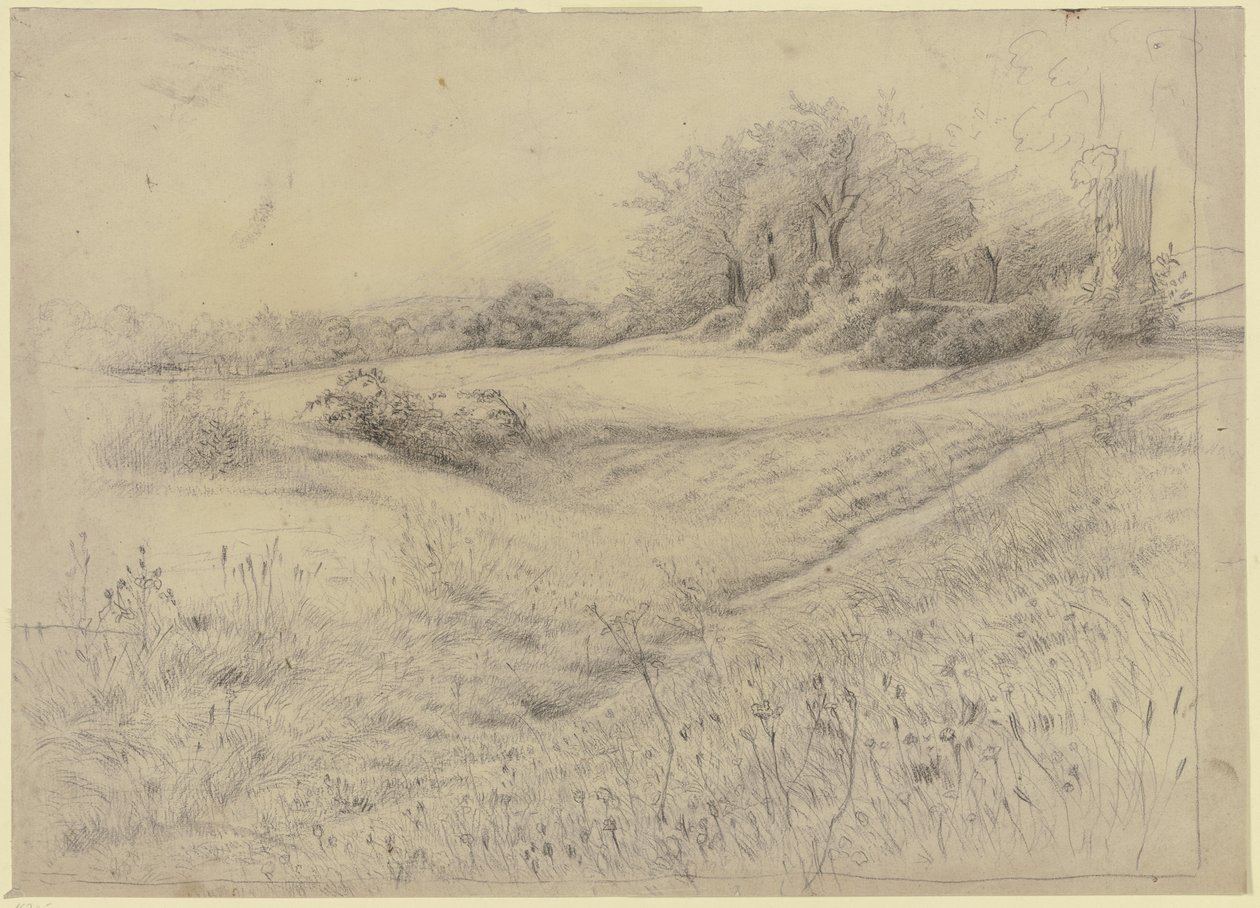Waldlandschaft bei Kronberg von Otto Scholderer