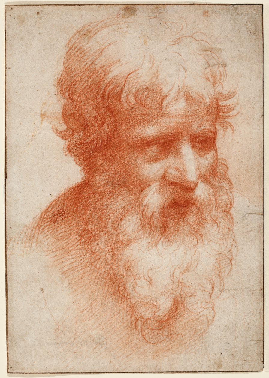 Kopf eines bärtigen Mannes, nach rechts blickend, ca. 1523-25 (Rötel auf Papier) von Parmigianino (1503 40)