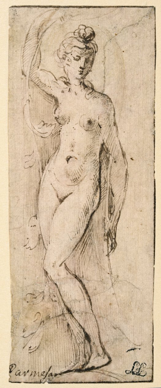 Weibliche Figur - Studie für Santa Maria della Steccata, Parma (recto) von Parmigianino