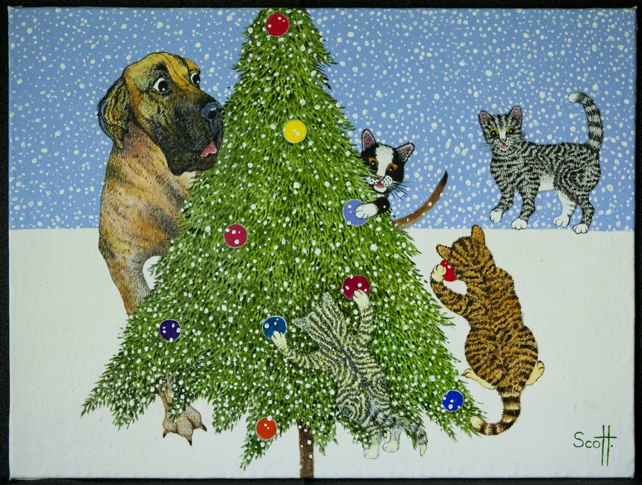 Weihnachtsüberraschungen von Pat Scott