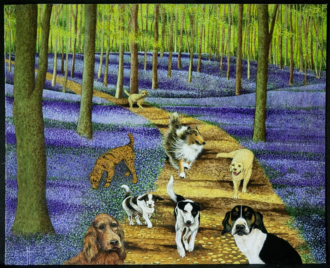 Der Morgenspaziergang von Pat Scott