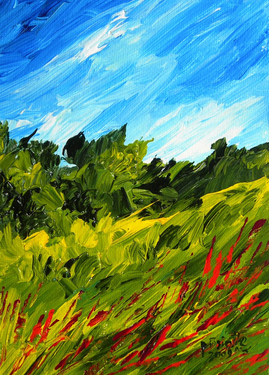 Ein Spaziergang in Puilboro, 2009 von Patricia Brintle