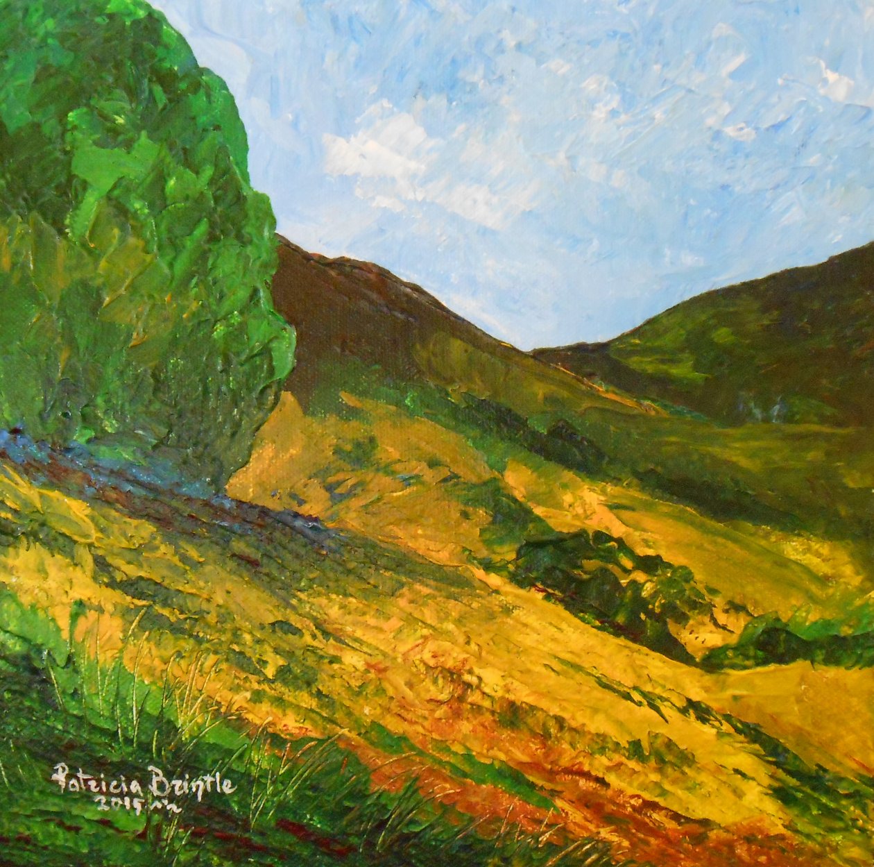 Morne La Selle, 2015 von Patricia Brintle