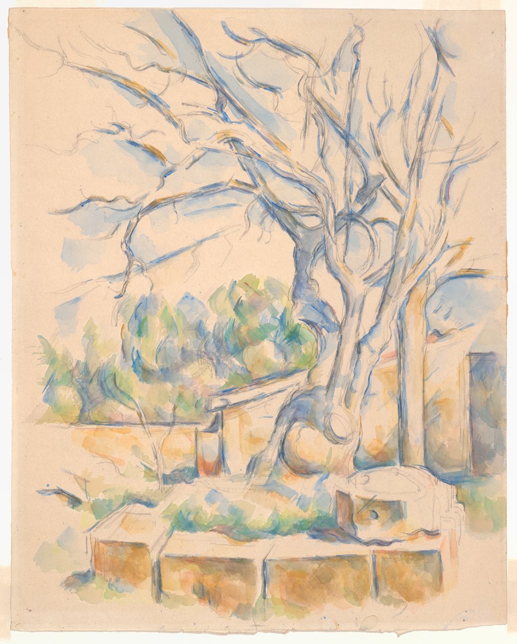 Pistazienbaum am Château Noir von Paul Cézanne