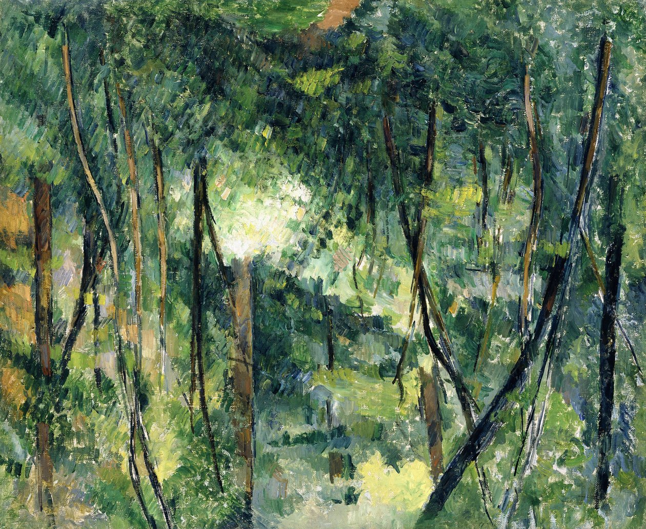 Unterholz, ca. 1885 von Paul Cézanne
