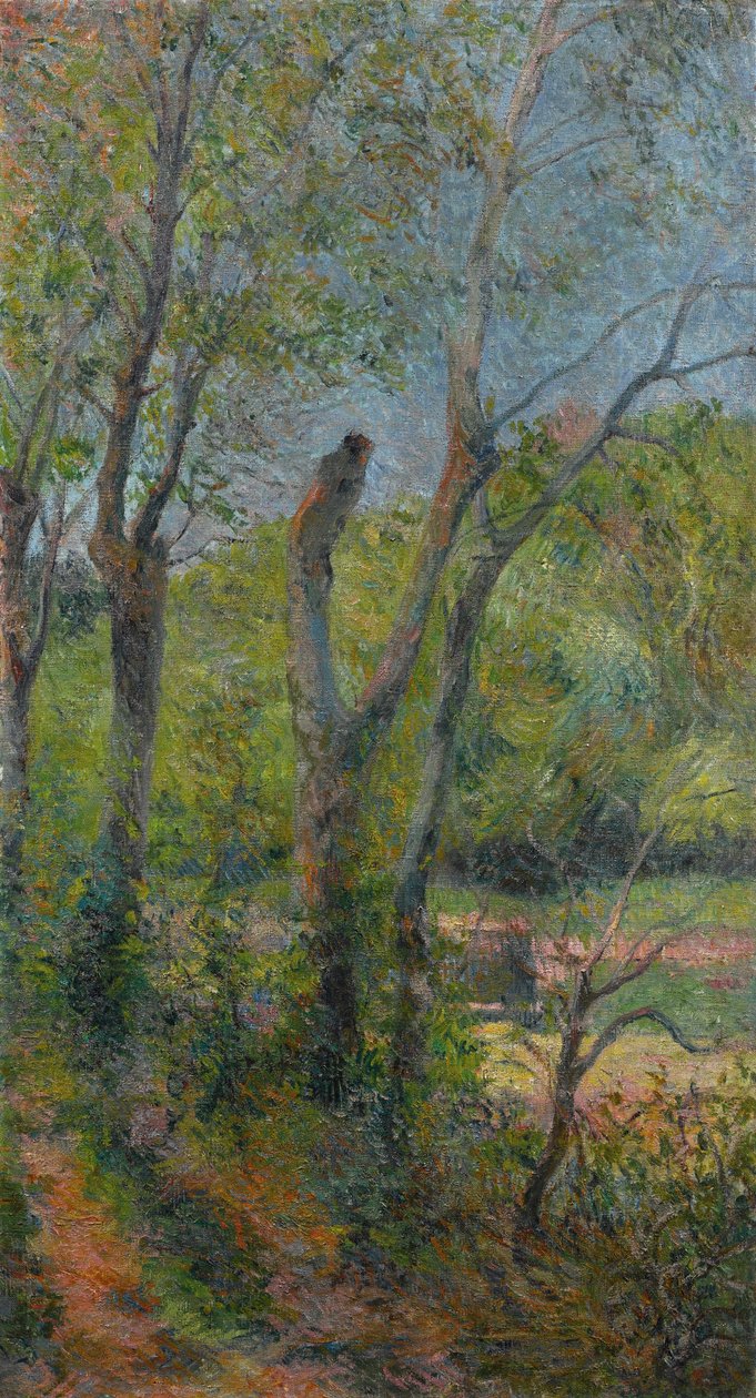 Les Saules von Paul Gauguin
