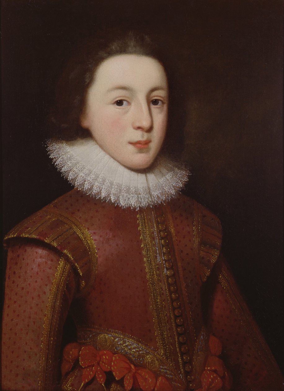 Porträt von Henry, Prinz von Wales von Paul van Somer