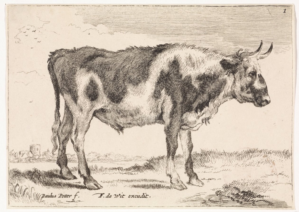 Gevlekte os von Paulus Potter (rejected attribution)