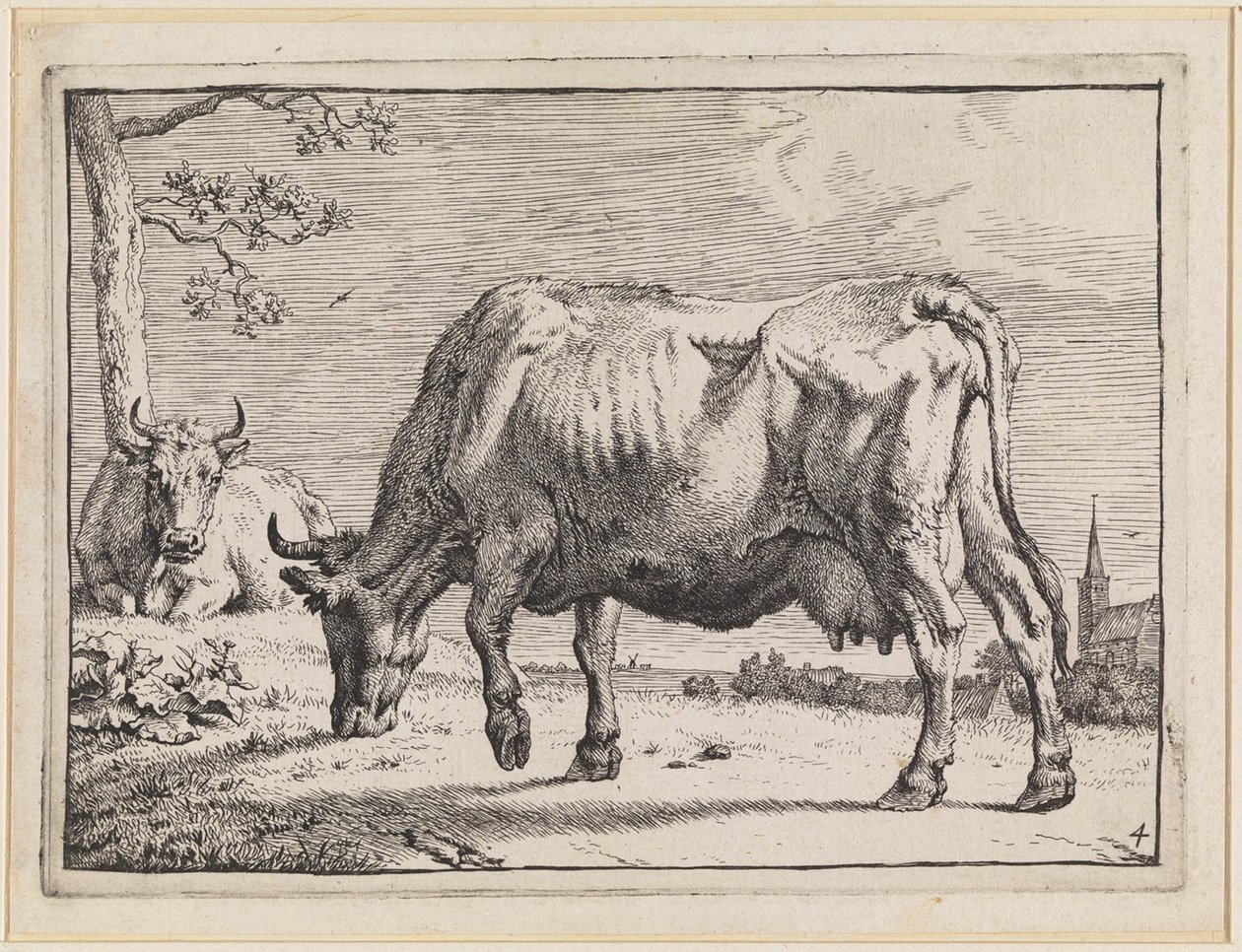 Weidende Kuh von Paulus Potter