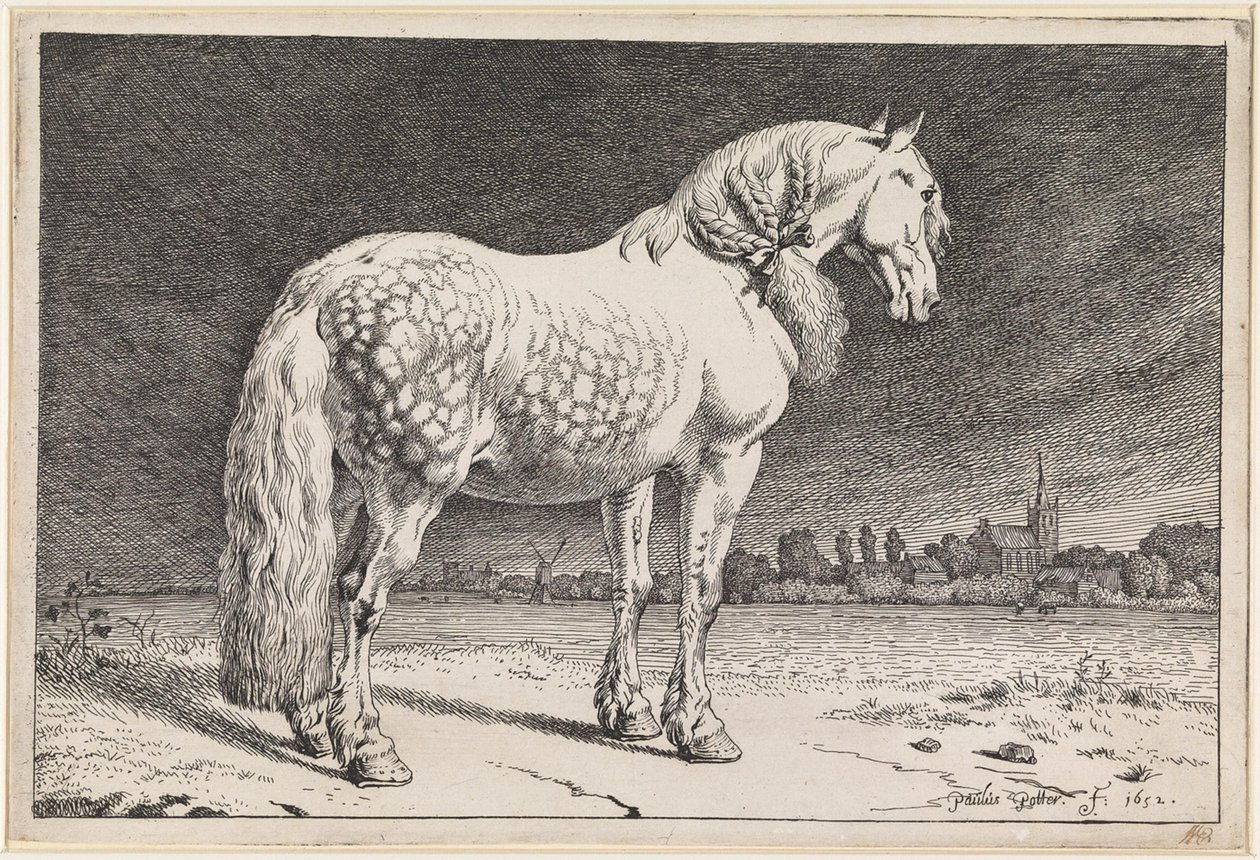 Das friesische Pferd von Paulus Potter