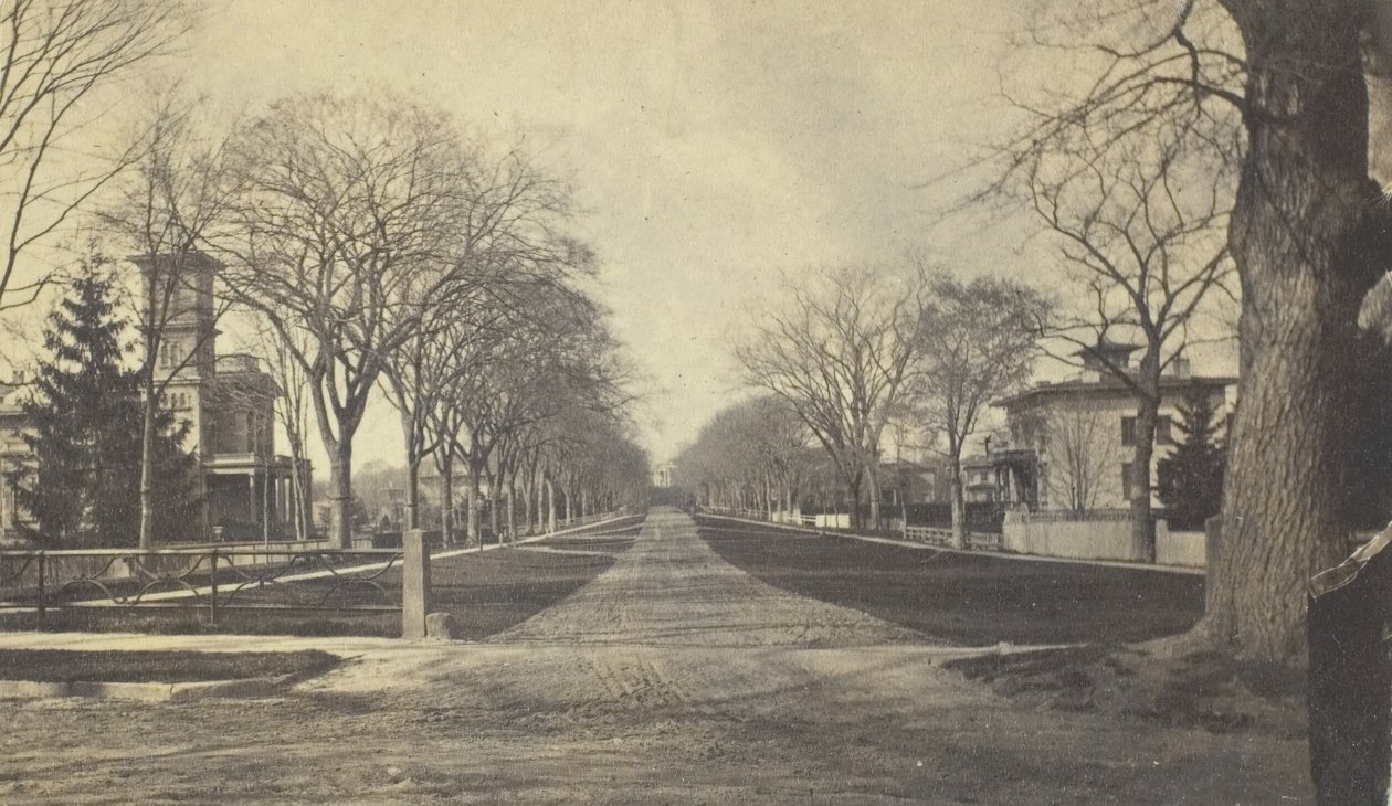 Hillhouse Avenue, 19. Jahrhundert von Peck Brothers