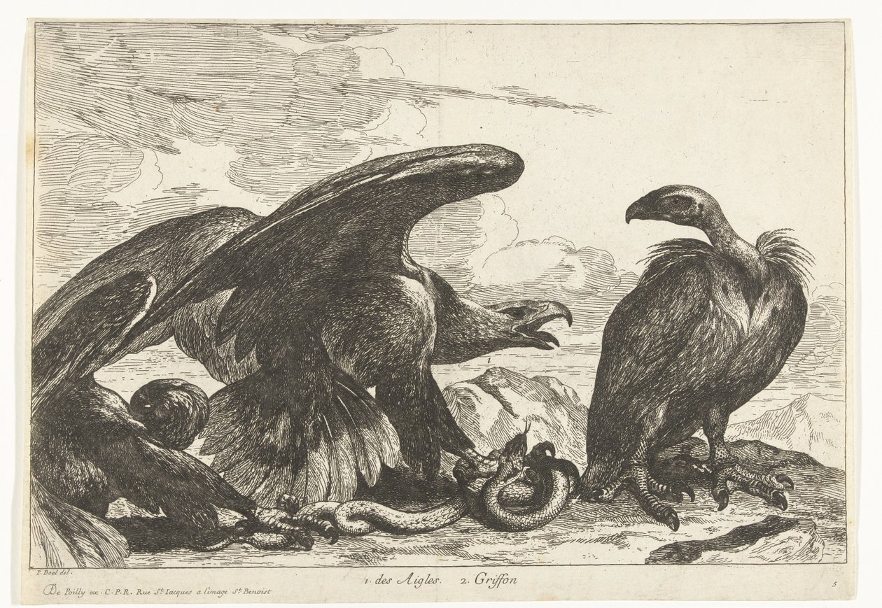 Geier und ein Adler mit Schlange von Peeter Boel (attributed to)