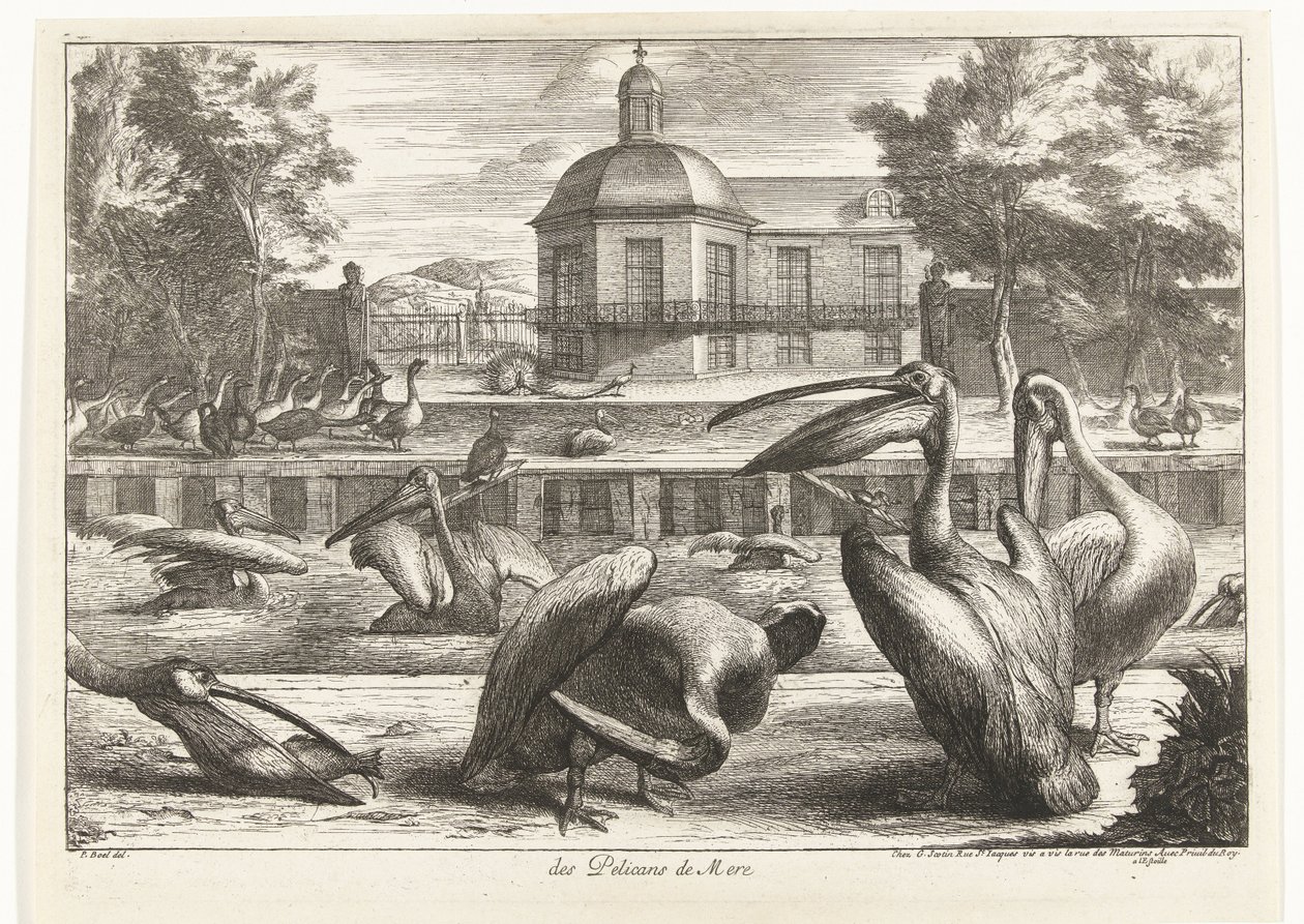 Pelikanen von Peeter Boel (attributed to)