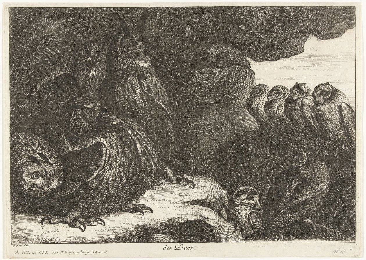 Eulen in einer Höhle von Peeter Boel (attributed to)