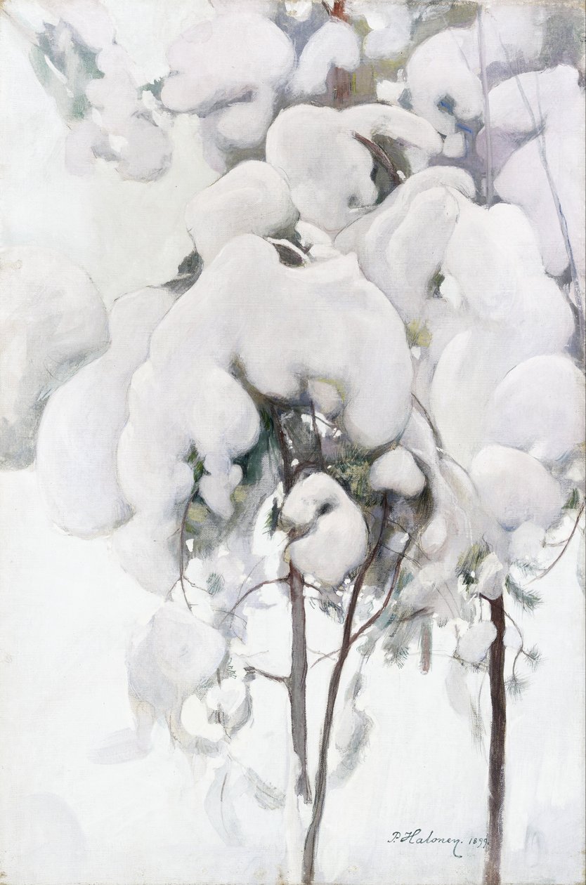 Schneebedeckte Kiefernsetzlinge von Pekka Halonen