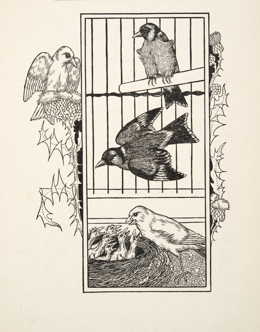 Ein wohltätiger Kanarienvogel, aus Hundert Anekdoten über Tiere, veröffentlicht 1924 von Percy J. Billingshurst