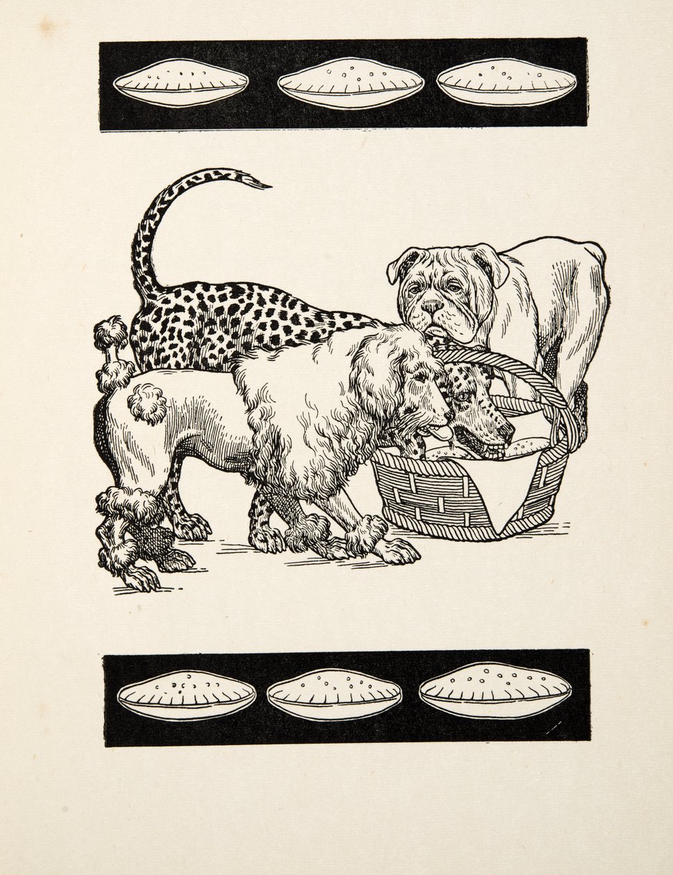 Von zwei Übeln das kleinere wählen, aus Hundert Anekdoten von Tieren, veröffentlicht 1924 von Percy J. Billingshurst