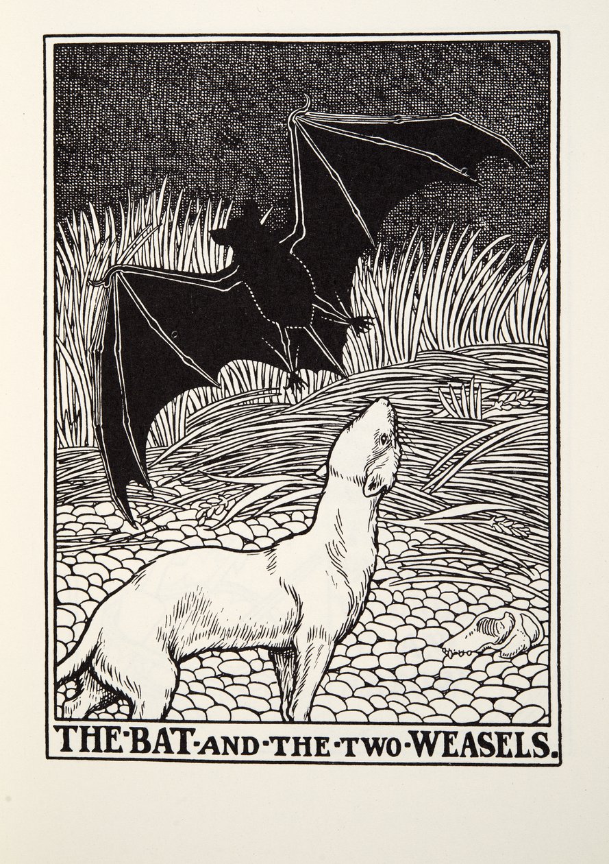 Die Fledermaus und die zwei Wiesel, aus Fontaine Fabeln, veröffentlicht 1905 von Percy J. Billingshurst