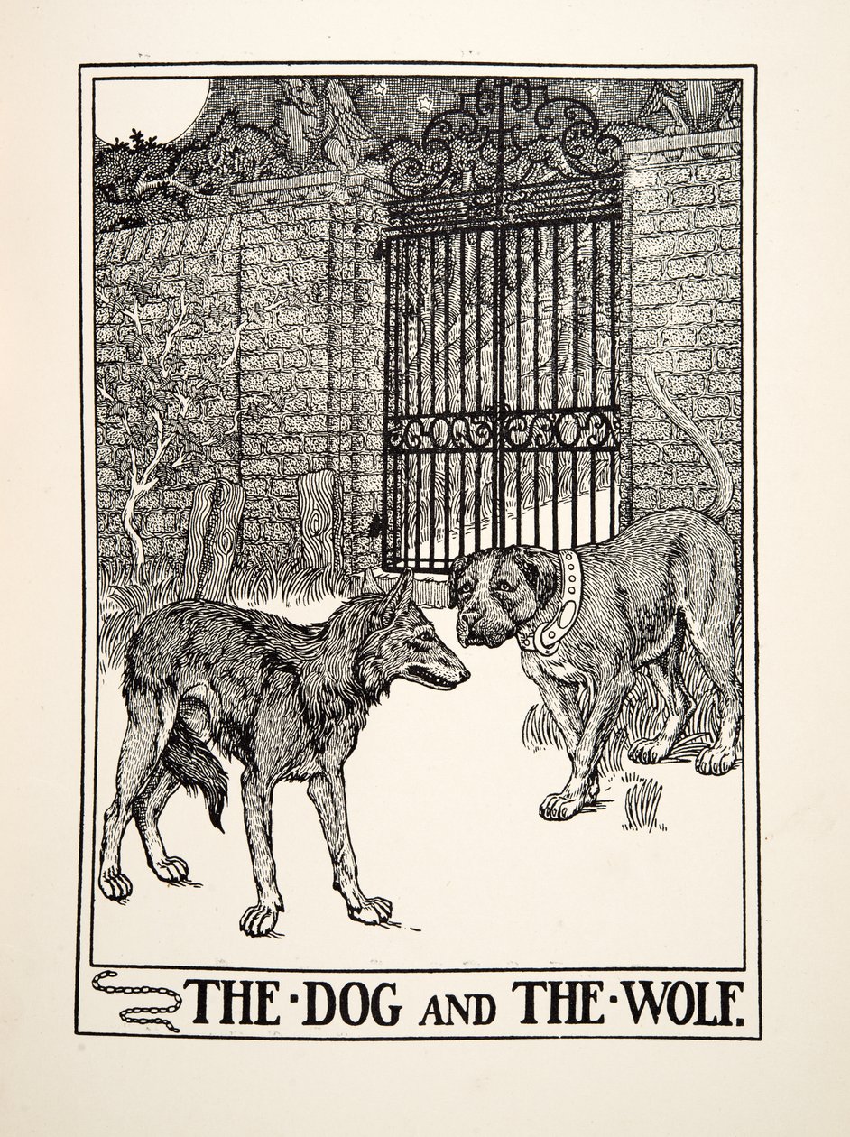 Der Hund und der Wolf, aus Hundert Fabeln von Äsop, veröffentlicht 1903 (Gravur) von Percy J. Billingshurst