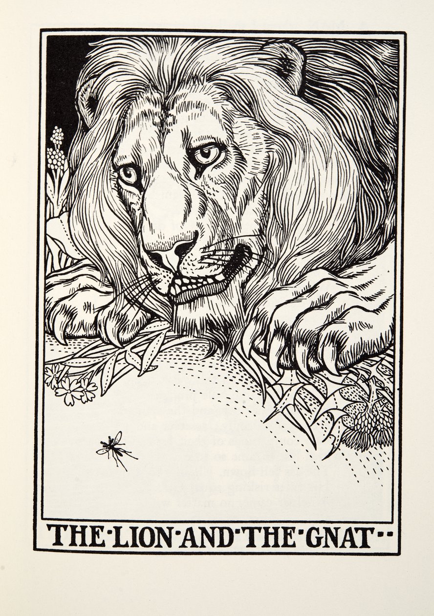 Der Löwe und die Mücke, aus Fontaine Fabeln, veröffentlicht 1905 von Percy J. Billingshurst