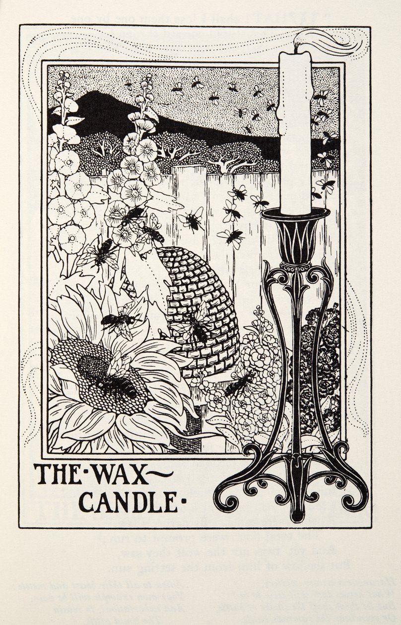Die Wachskerze, aus Fontaine Fables, veröffentlicht 1905 von Percy J. Billingshurst
