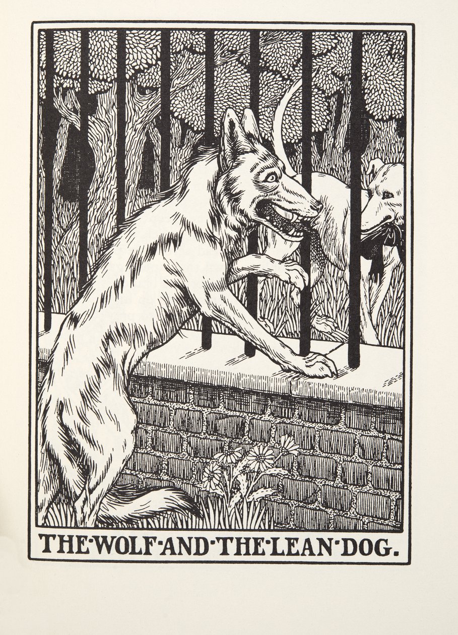 Der Wolf und der magere Hund, aus Fontaine Fabeln, veröffentlicht 1905 von Percy J. Billingshurst