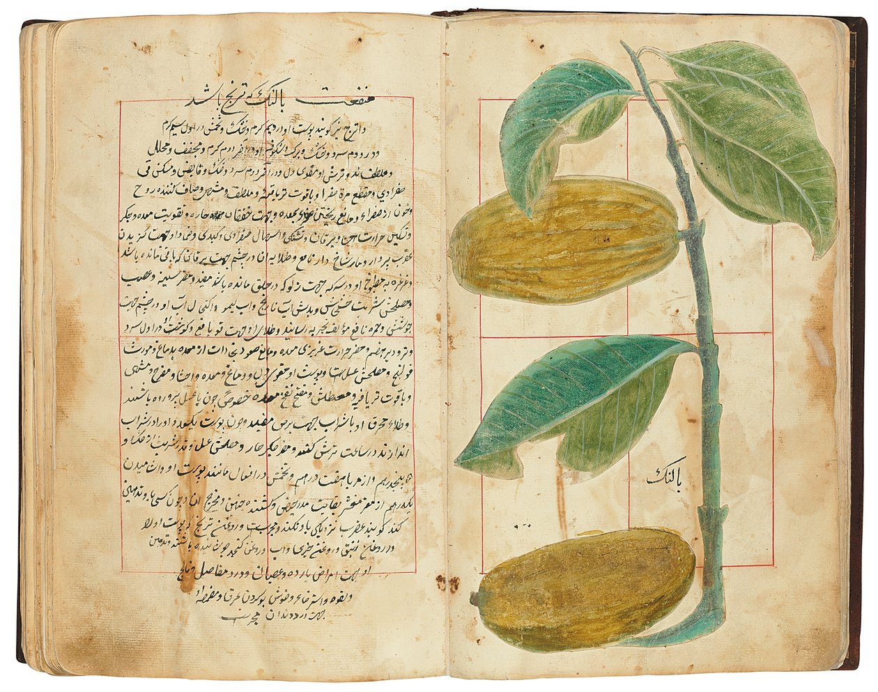 Hassan Bin Baqir Bin Jarrah: Gulzar Al-Rayahin, Qajar Iran von Persian School