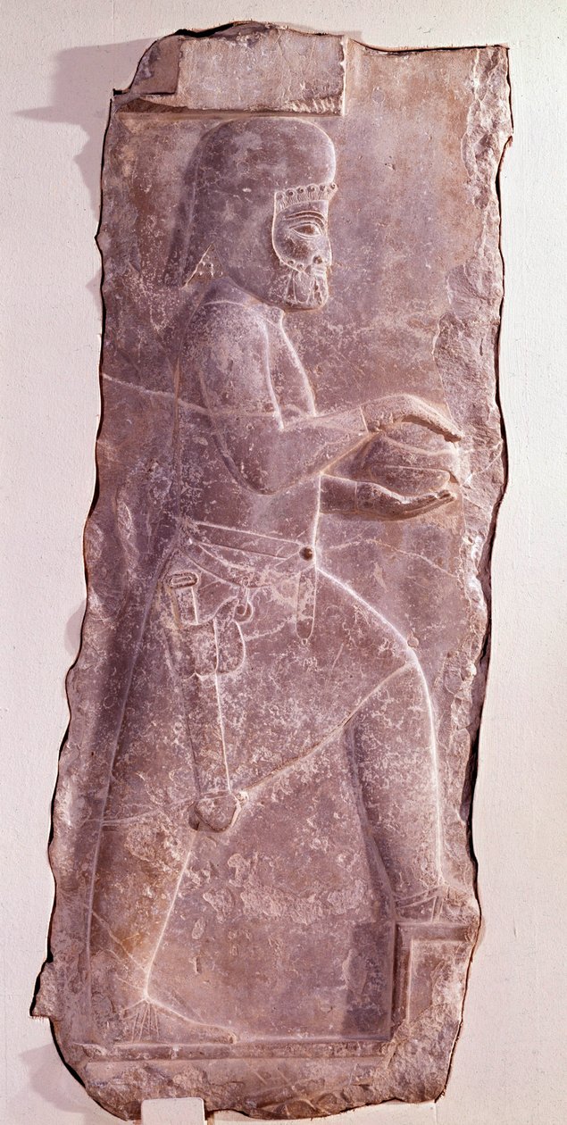 Steinrelief, das eine Mededienerin darstellt (Volk des Iran). Achämenidenzeit. Flachrelief von der Treppe des Palastes von Darius I. (550-486 v. Chr.), König von Persien. Persepolis, Fars Iran. Aufbewahrt im Museum der Schönen Künste Zürich von Persian School