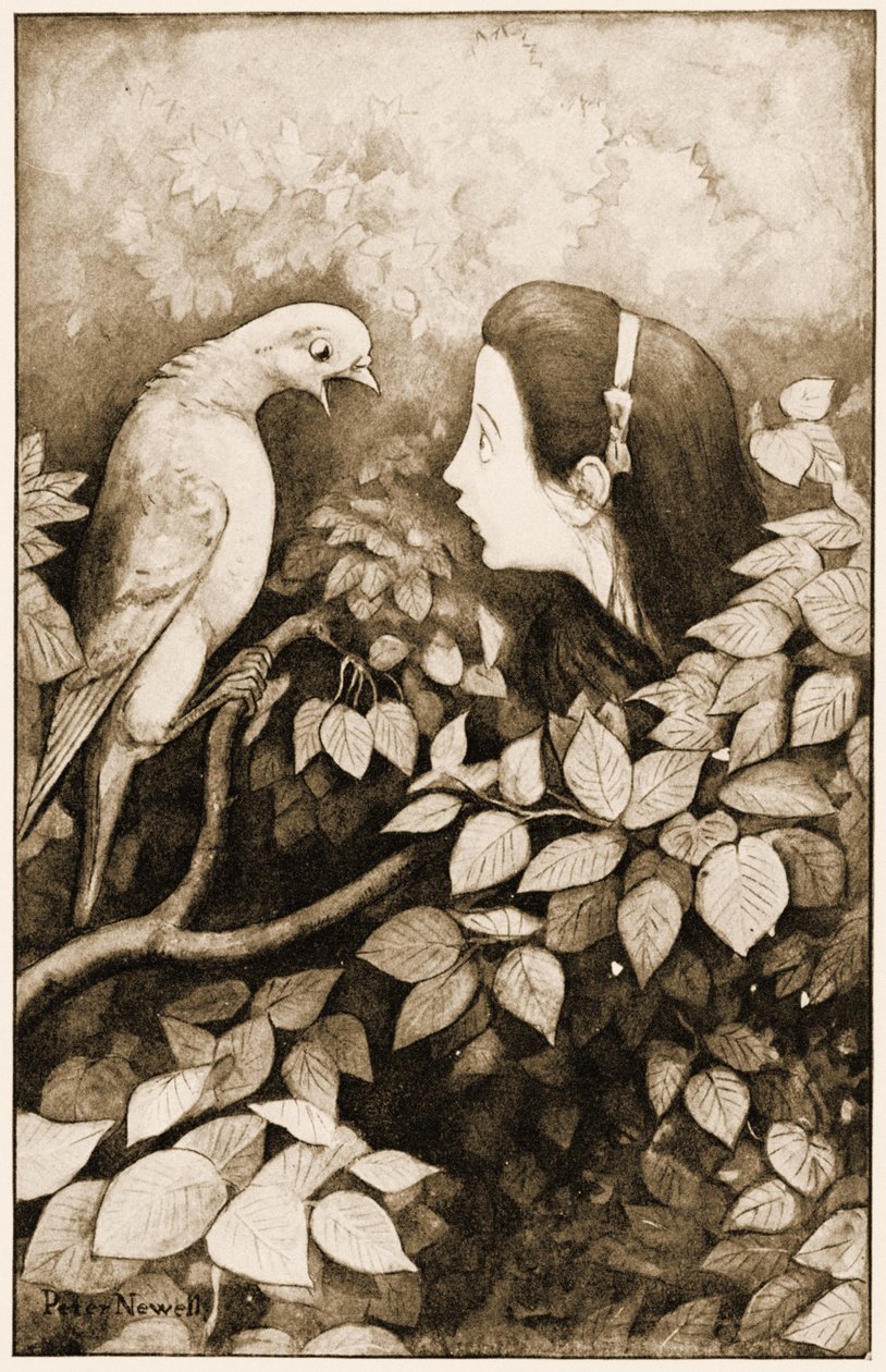 "Schlange!", schrie die Taube, Illustration für Lewis Carrolls Alice im Wunderland, 1901 von Peter Newell