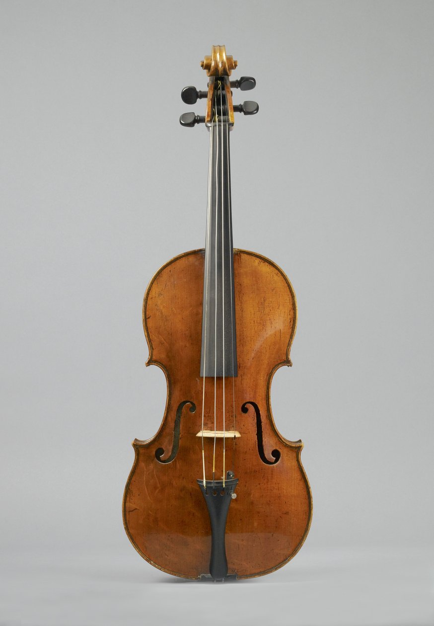 Viola von Peter Wamsley