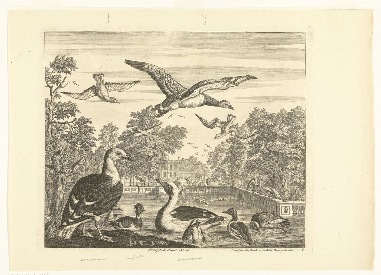 Möwen und Enten in einem Vogelteich (Verschiedene Vögel) von Peter Casteels (III)