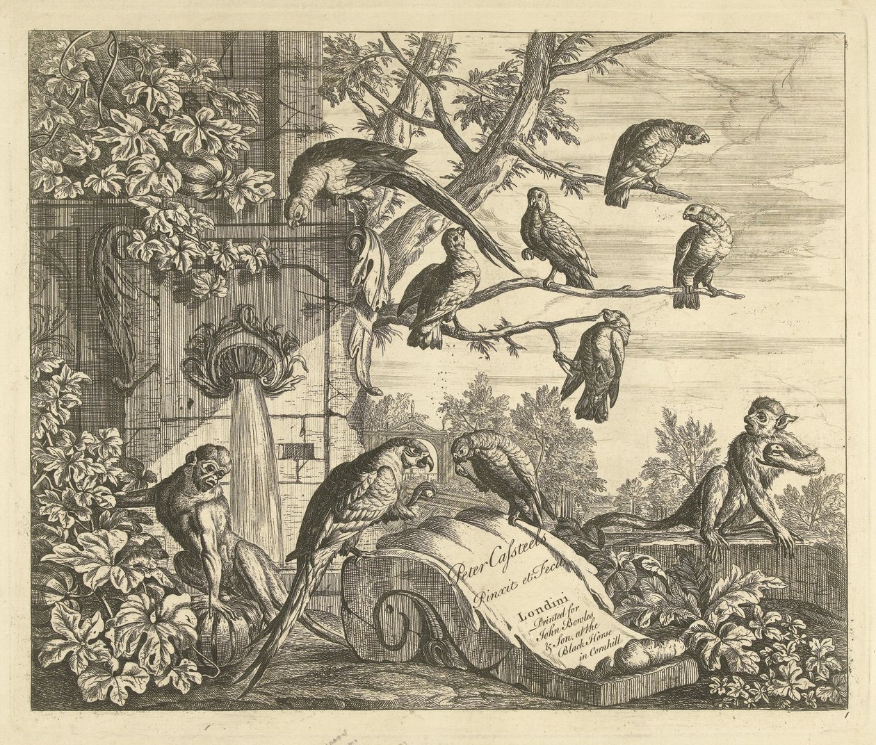Papageien und Äffchen bei einem Gartenbrunnen (Verschiedene Vögel) von Peter Casteels (III)