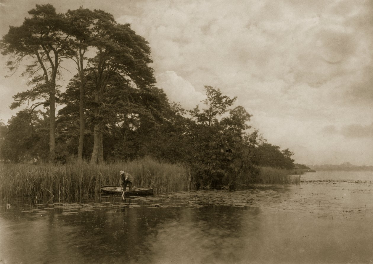 Das Versteck des Hechts, ca. 1886