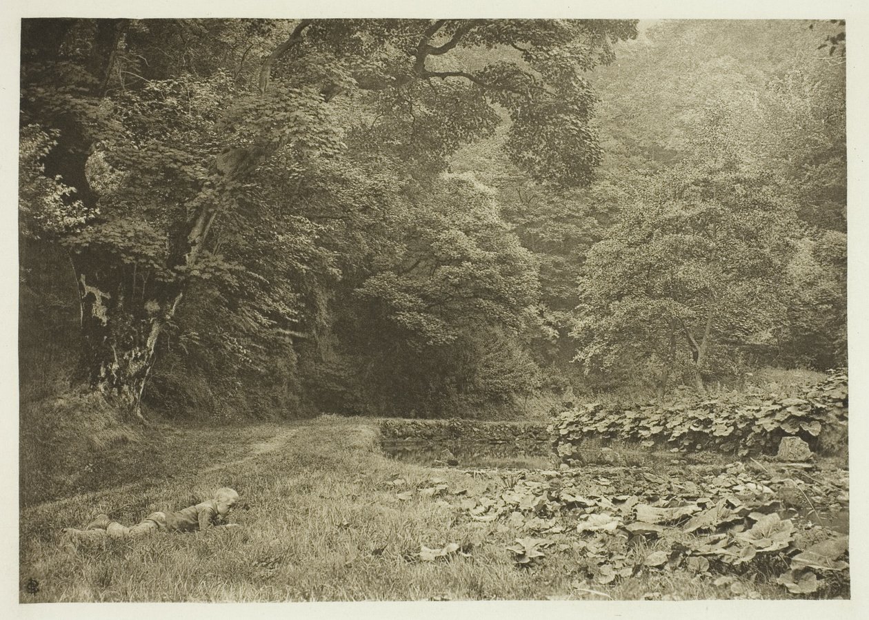 Eine ruhige Ecke in Beresford Dale von Peter Henry Emerson