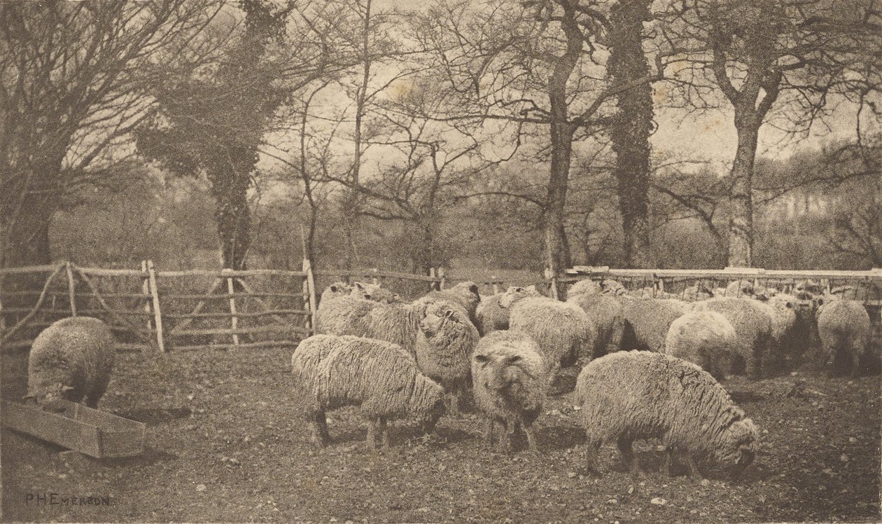 Ein herbstliches Pastorale von Peter Henry Emerson