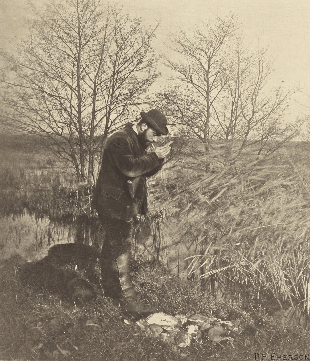 An der Covert Corner. Norfolk. von Peter Henry Emerson