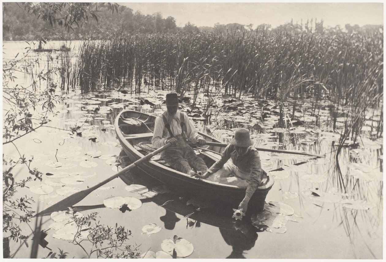 Seerosen sammeln von Peter Henry Emerson