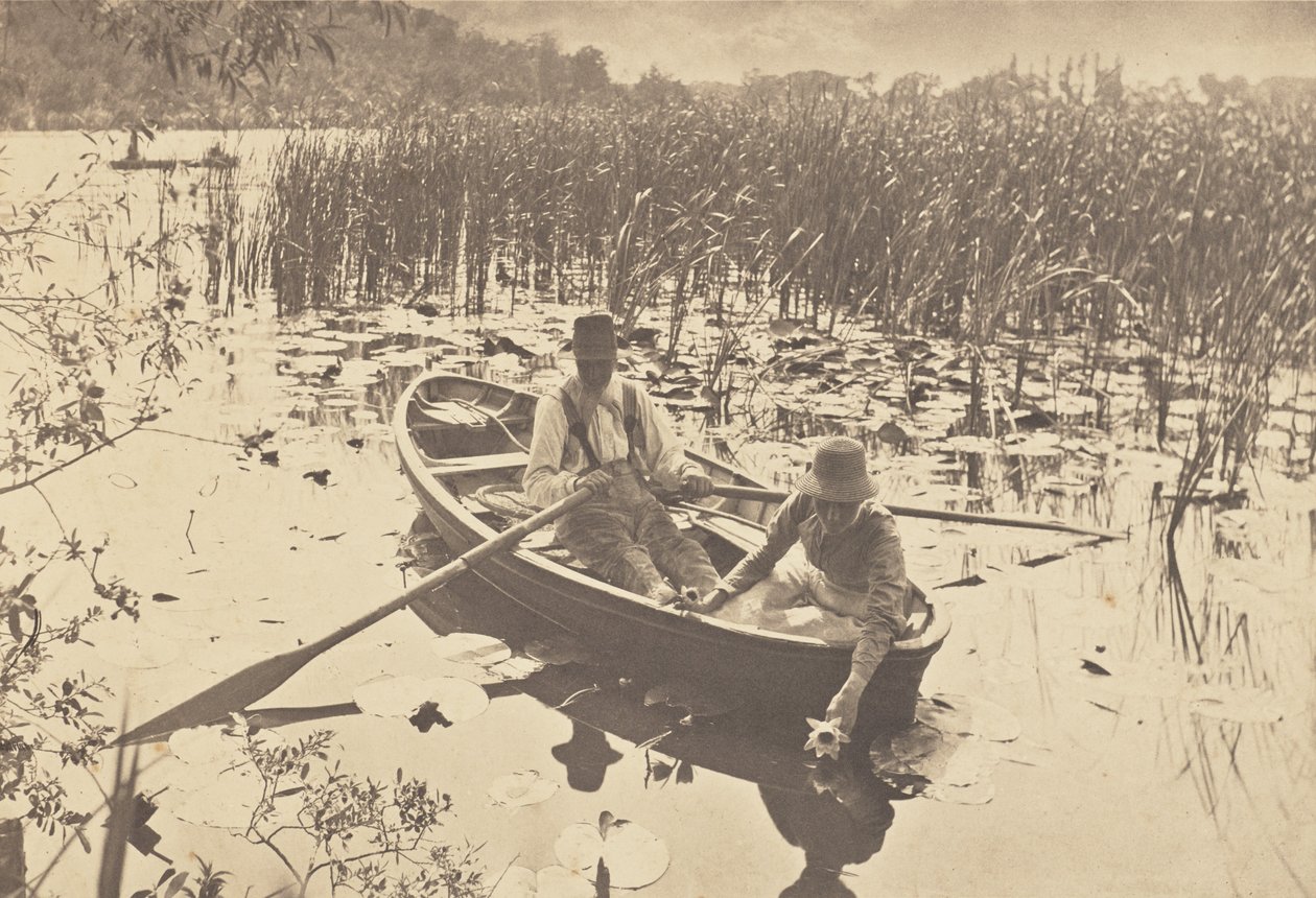 Seerosen sammeln von Peter Henry Emerson