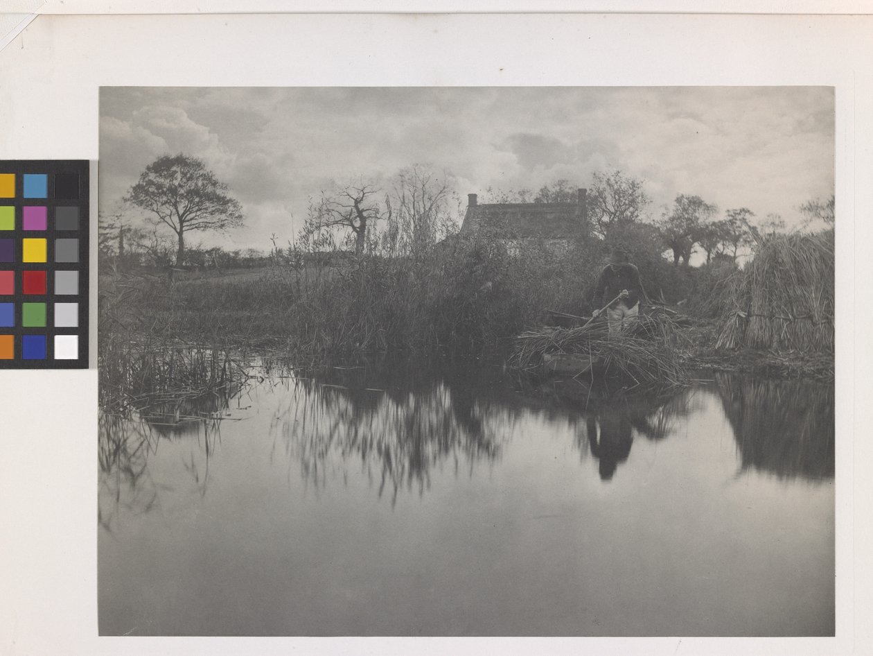 Quanting der Gladdon von Peter Henry Emerson