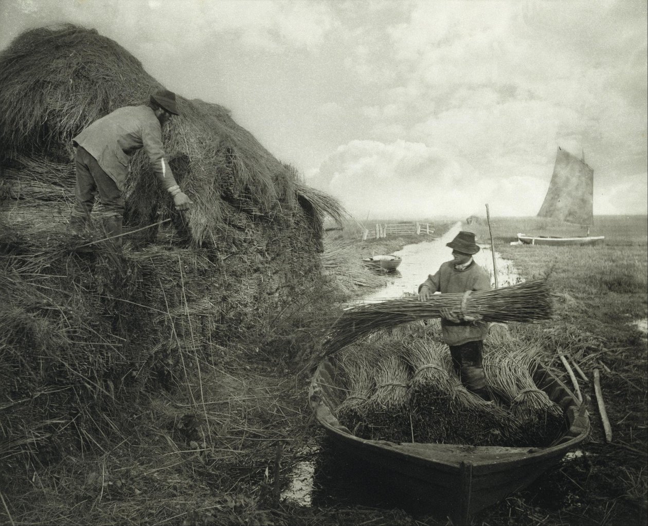 Schilf stapeln von Peter Henry Emerson