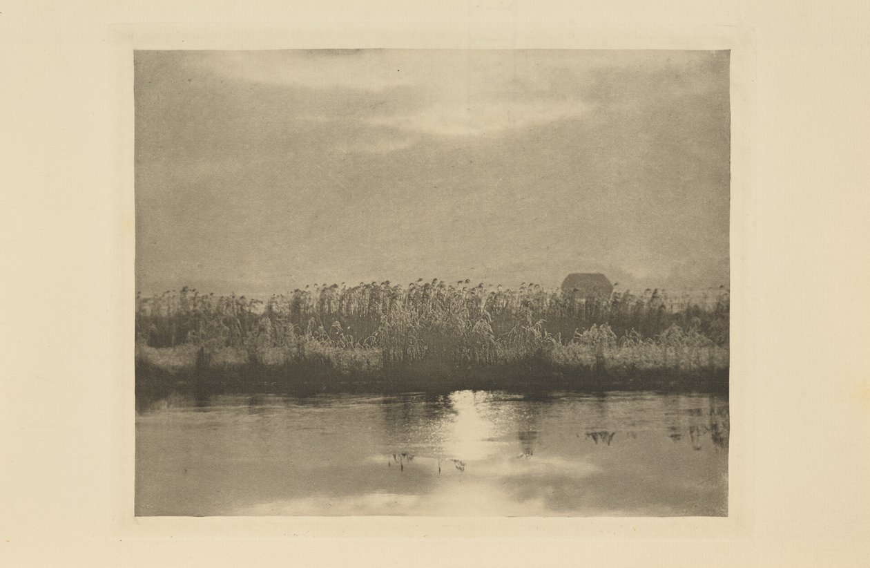 Reifkristalle von Peter Henry Emerson
