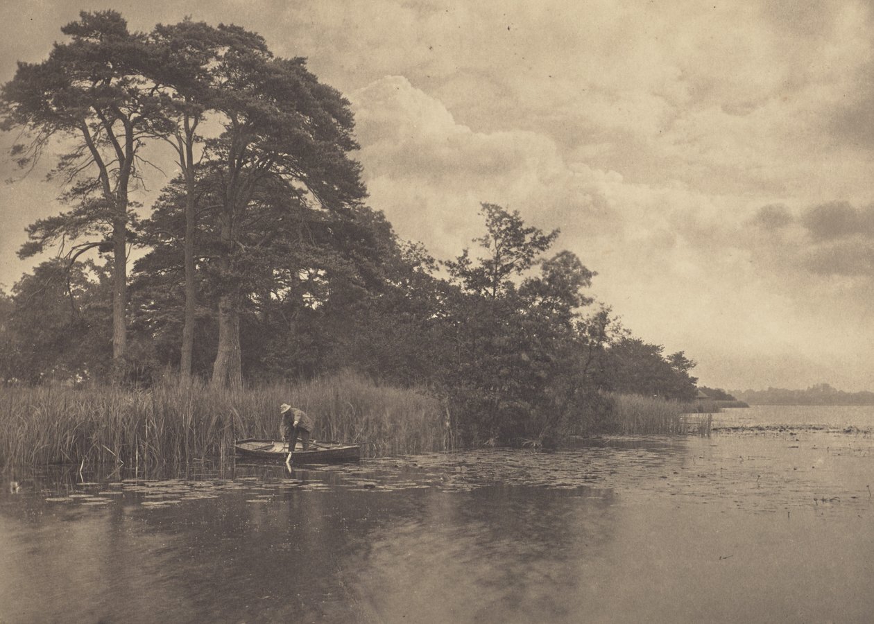 Das Versteck des Hechts von Peter Henry Emerson