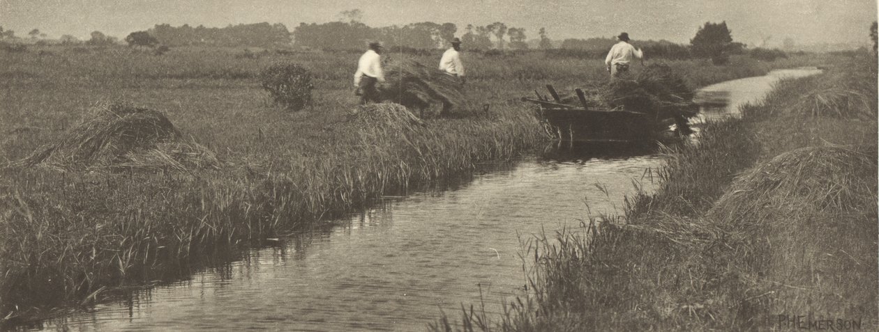 Die Ernte des Binsenschilfs von Peter Henry Emerson