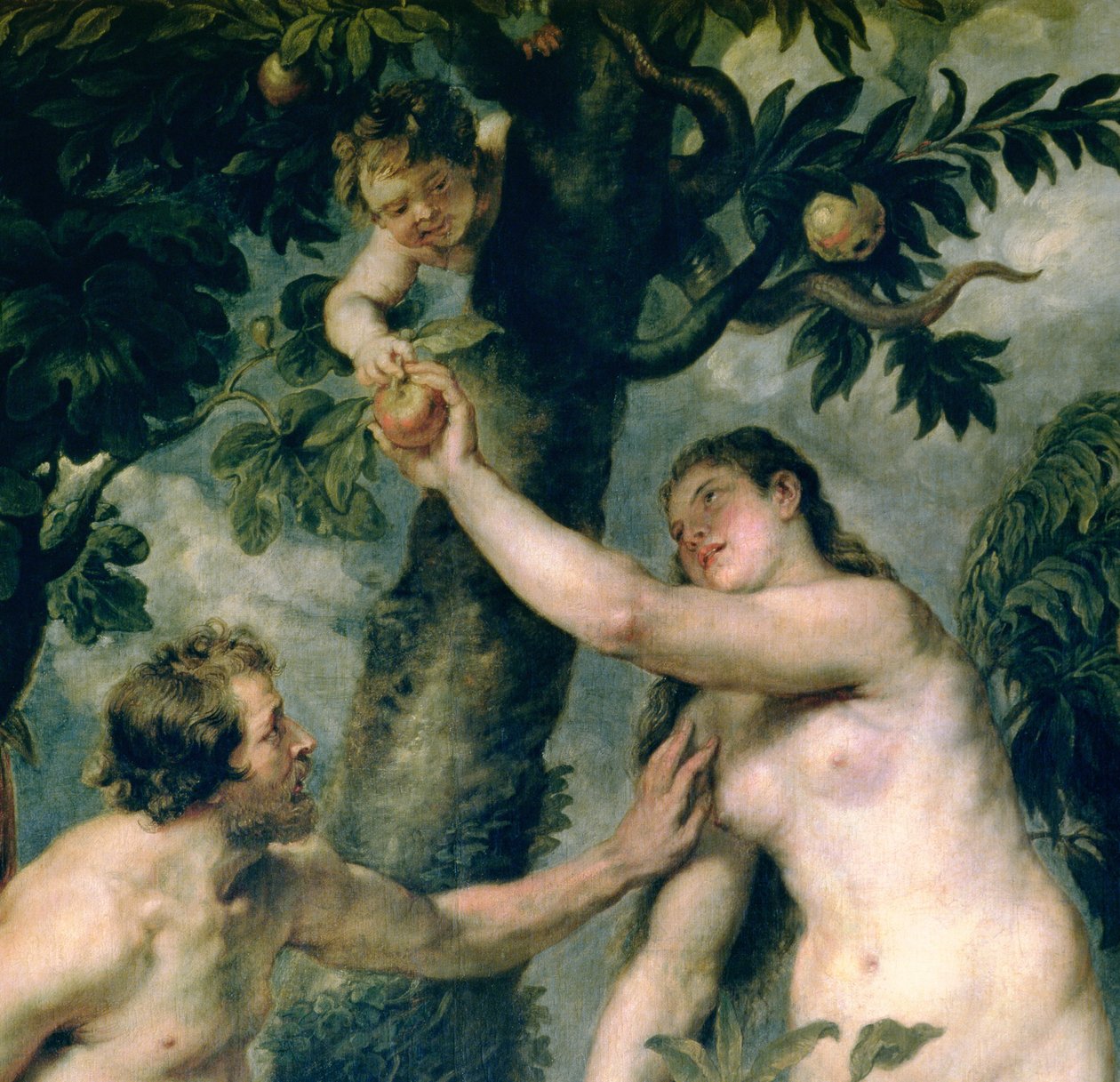 Adam und Eva (kopiert nach dem Gemälde von Tizian) (Detail) von Peter Paul Rubens